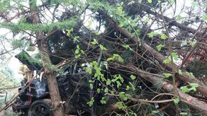 Trzy osoby poszkodowane w tym makabrycznym wypadku