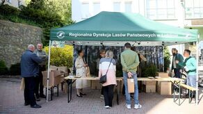 Akcja #sadziMY- posadź drzewo z leśnikami