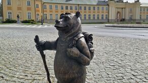 Pierwszy to Podróżnik. Niedźwiadki opanują lubelskie miasteczko 