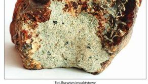 Gabinety historii naturalnej Lublina. Nowa wystawa w Muzeum Józefa Czechowicza