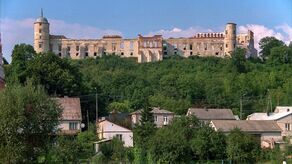 Powiat puławski: zobacz kto będzie wójtem, a kto burmistrzem