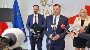 Milionowa kara za oszustwa związane z importem z Ukrainy