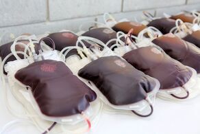 Bezpłatne warsztaty dla chorych na nowotwory krwi i szpiku