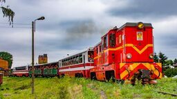Nadwiślańska Kolejka Wąskotorowa rusza w majówkę 