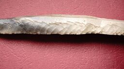 Przypadkowo znaleziony przedmiot okazał się cennym artefaktem 