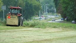 Nie wszystkie miejskie trawniki będą gładkie jak dywan 
