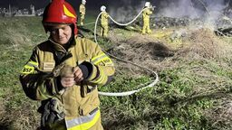 Gasili pożar na cmentarzu i uratowali zajączka 