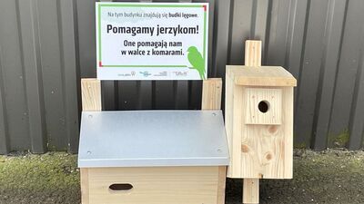 Przedsiębiorcy, placówki oświatowe oraz zakłady pracy mogą zgłaszać się do miasta po darmowe budki dla jerzyków. Nalezy spełnić tylko odpowiednie warunki. 
