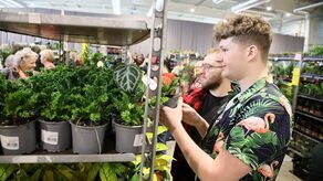 Miłośnicy Monstery Variegaty mogą być zadowoleni. W Lublinie trwa Festiwal Roślin