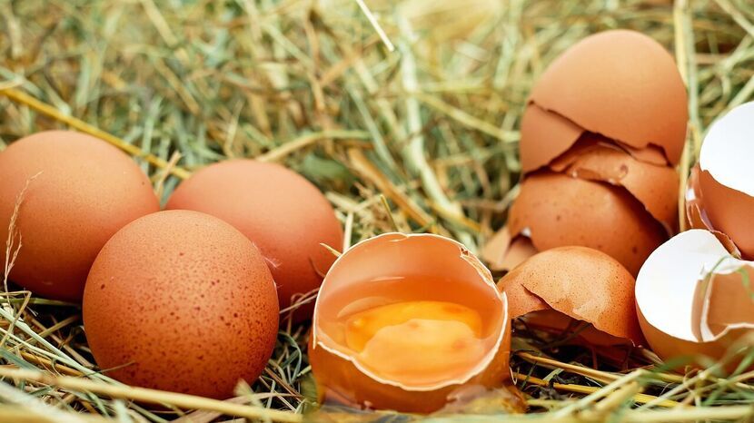 Według kontrolerów IJHARS, co 4 sprzedawca jaj oszukiwał klientów