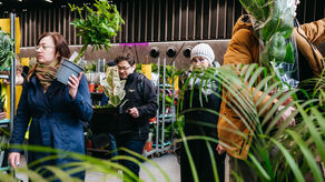 Największe takie zielone targi w Polsce. Raj dla miłośników roślin 