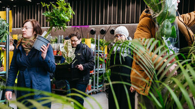 Największe takie zielone targi w Polsce. Raj dla miłośników roślin 