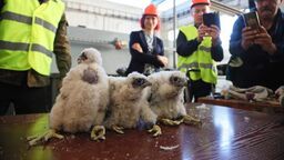 Dwie dziewczyny i jeden chłopak. A na horyzoncie zastępczy tata