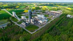 Kadrowa miotła w Bogdance