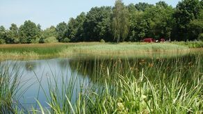 Stawy nad Klukówką 