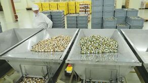 Pszczółka od niedawna ma nową prezes. Teraz szuka osoby do Zarządu