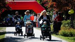 Buggy Gym - świetna zabawa dla małych i dużych