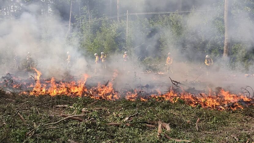 Strażacy ćwiczą gaszenie pożarów lasów