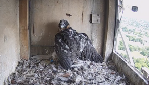 Lubelskie sokoły z nowoczesnym sprzętem 