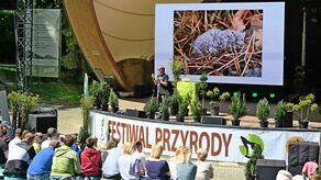 Festiwalowi towarzyszy duże zainteresowanie