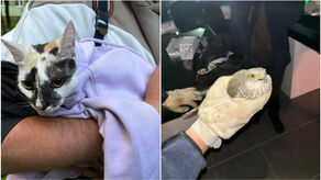 Świdnik. Jak trzeba to i życie uratują