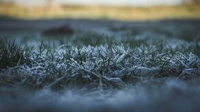 - 3 przy gruncie. Ostrzeżenie dla 10 powiatów!