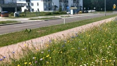 zdjęcie ilustracyjne 