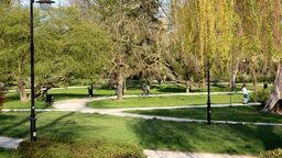 Bliżej do zmian na Skwerze Niepodległości. Poprawią alejki