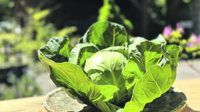 9 przepisów na majówkę od mistrza Waldemara Sulisza