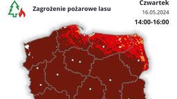 Ekstremalne zagrożenie w lasach