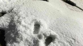 Silna chmura burzowa przeszła w niedzielę wieczorem przez powiat opolski i wschodnią cześć powiatu lubelskiego