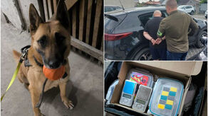 Jechał pod wpływem narkotyków. Więcej wywęszył policyjny pies