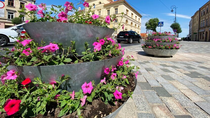 W tym roku oczy Lublinian i turystów w okolicy Bramy Krakowskiej będą cieszyć petunie. 