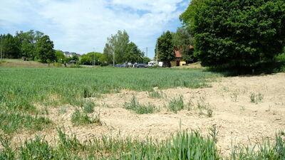 Petycja i sprzeciw. Mieszkańcy mówią „nie” budowie sklepu