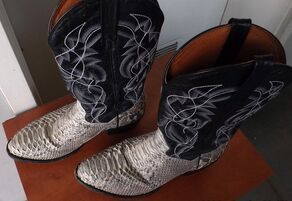 Pożałuje butów z pytona