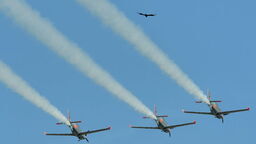 W powietrzu i na lądzie – przed nami IV edycja Świdnik Air Festival