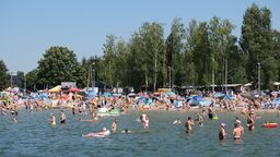 Tak było na plaży nad Jeziorem Firlej w ubiegłym roku. To miejsce także odwiedzimy podczas tegorocznej akcji "Spotkajmy się nad wodą".
