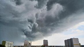 zdjęcie ilustracyjne