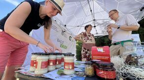 Były stare pralki, teraz jest miód. Miejska pasieka nadal działa