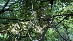 Pomoc przyszła w ostatniej chwili