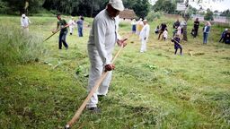 Sianokosy w Muzeum Wsi Lubelskiej 
