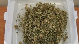 Chodził po mieście z narkotykami. Sporo miał też w domu