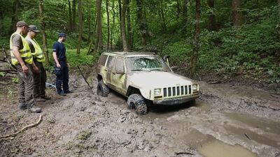 Nielegalne rajdy w lasach. Sypią się mandaty 