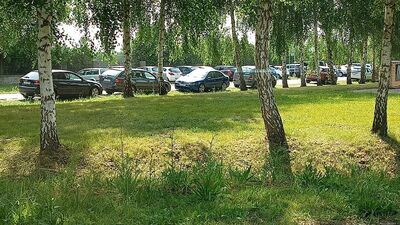 Samochody parkują na poboczach jezdni 