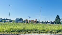 Ronda w Zamościu są zielone, bo porośnięte bujną trawą. Nowi rządzący obiecują, że zagospodarują je w przyszłości