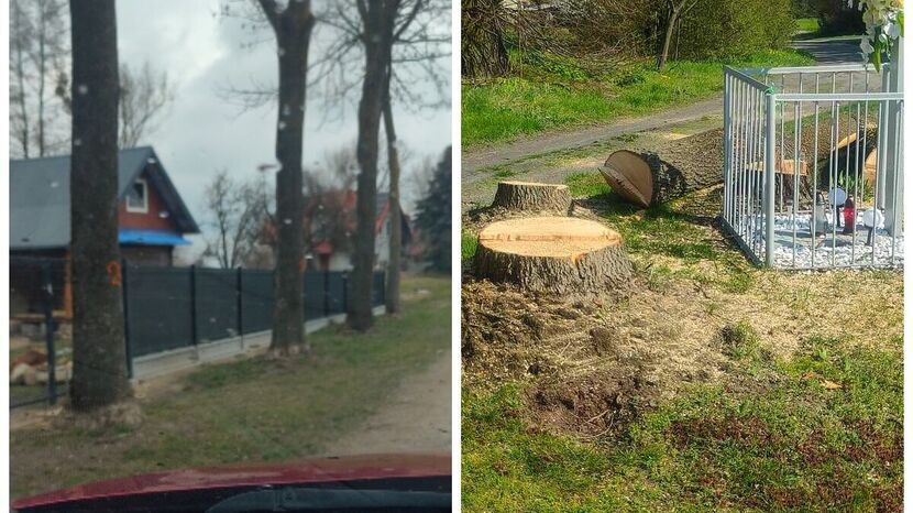 Zdaniem gminy – wykonanie tej drogi było istotne zarówno z punktu widzenia infrastruktury drogowej jak i bezpieczeństwa mieszkańców