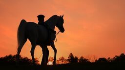 Pride of Poland 2024. Za oglądanie najlepszych koni publiczność zapłaci 