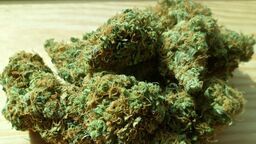 Przyszła na komisariat… z narkotykami