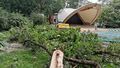 Konar drzewa spadł na nastolatki w Ogrodzie Saskim. Policja bada sprawę