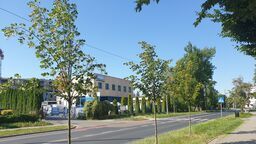 Kosili trawniki, uszkodzili drzewa. „To skandaliczne zaniedbanie”